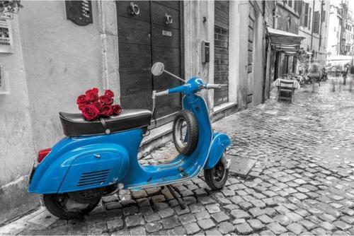 Assaf Frank Blue Scooter Maxı Poster
