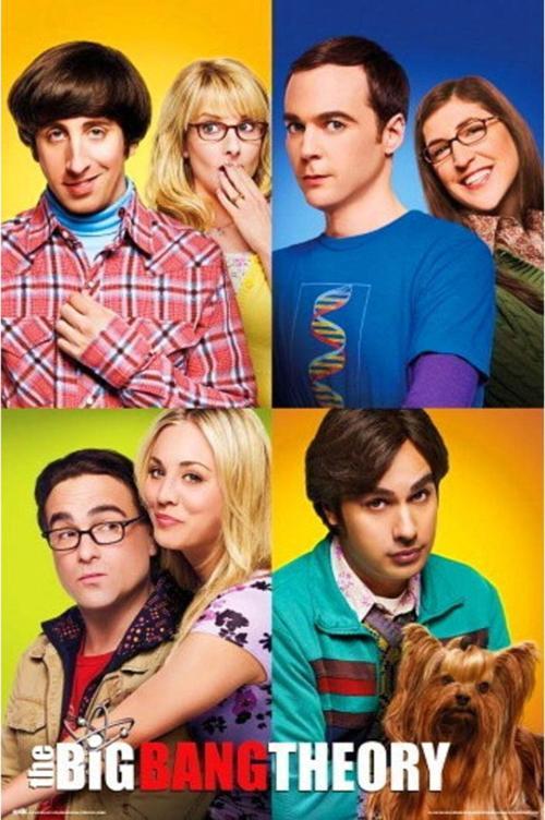 The Bıg Bang Theory Mosaıco Maxı Poster