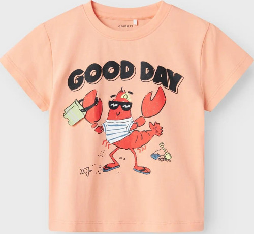 Nmmfish Nreg Ss Top Box Unisex Çocuk T-shirt 13241295