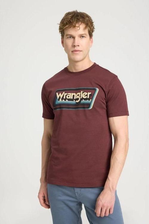 Erkek T-shirt W753EEH45