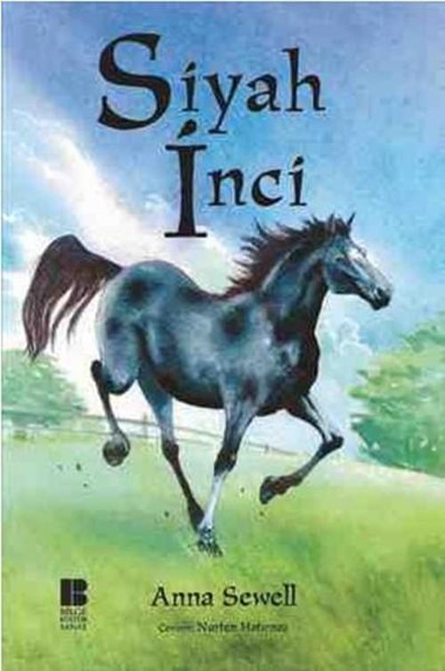 Bilge Kültür Sanat Siyah İnci