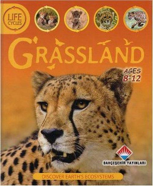 Life Cycles - Grassland