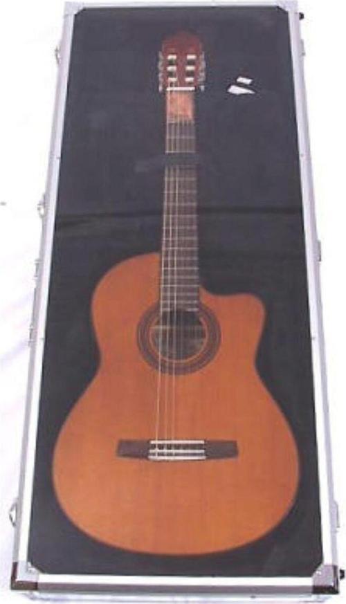 Dsc420 Akustik Gitar Teşhir Çantası