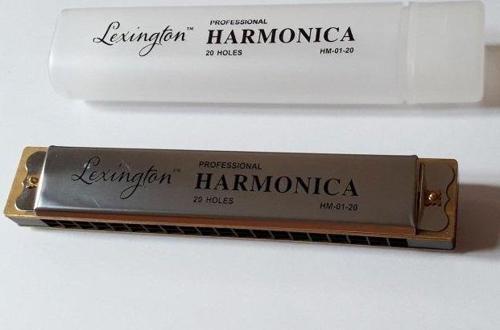 HM0120 MIZIKA 20 DELİK PROFESSIONAL HARMONICA ŞEFFAF KUTULU