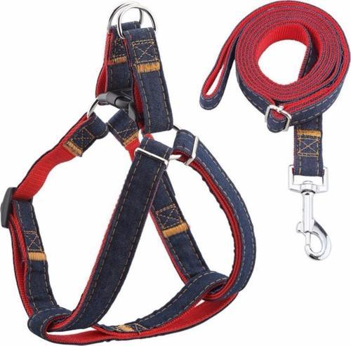 2116 Kot Desenli Gezdirmeli 10-15Kg Köpek Göğüs Tasması 2cm