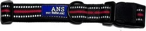 Köpek Boyun Tasması 2,5cm Genişlik, Boynu 46-55cm