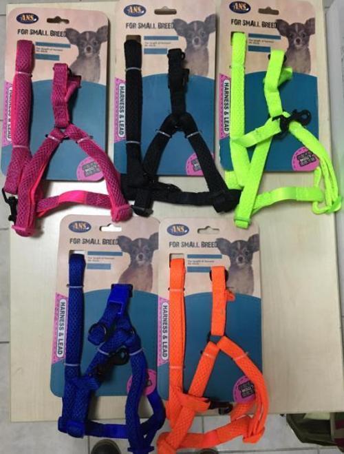 Middle Breed Small Yumuşak Köpek Göğüs Tasması Deri Takım 4-6 Kg Olan Köpeklere