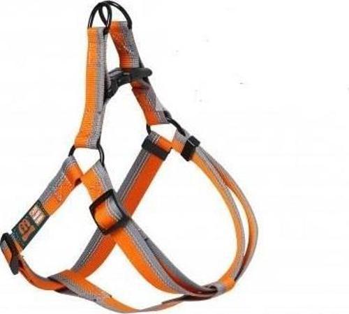 İki Renk Ayarlanır Köpek Göğüs Tasması 2cm Kalınlıkta, Gövdesi 40-60cm