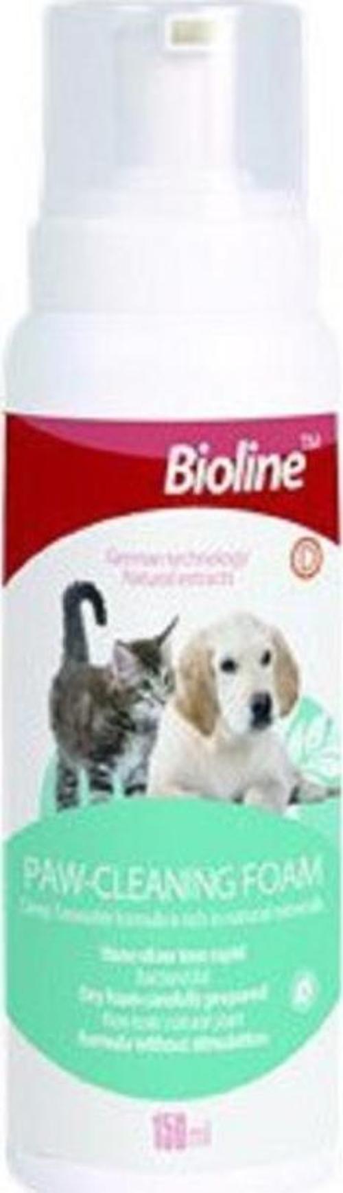Pati Temizleme Köpüğü 150 Ml