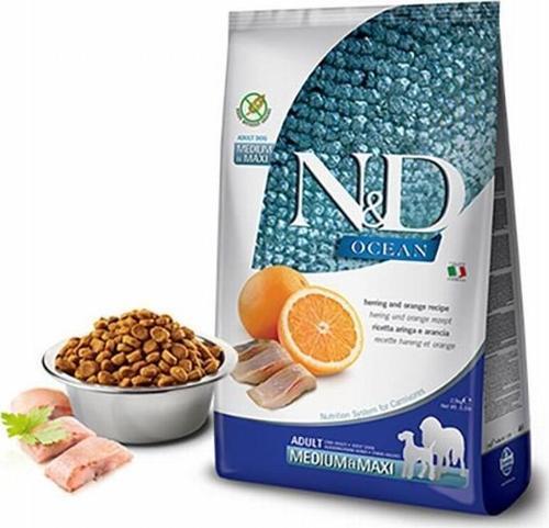 Ocean Ringa Balıklı Portakallı Medium Maxi Tahılsız Yetişkin Köpek Maması 2,5 Kg