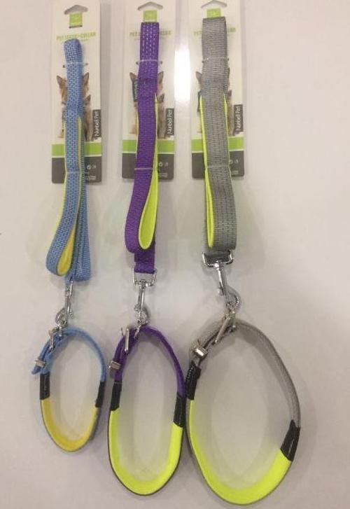 Köpek Boyun Tasması Gezdirmeli 2.5 cm-120 cm