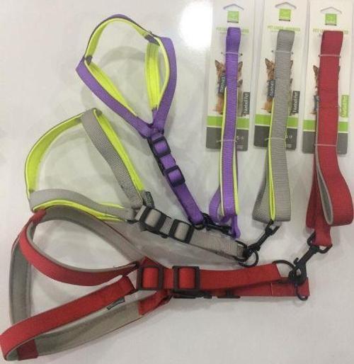 Köpek Gögüs Tasması Gezdirmeli 2.5 cm-120 cm
