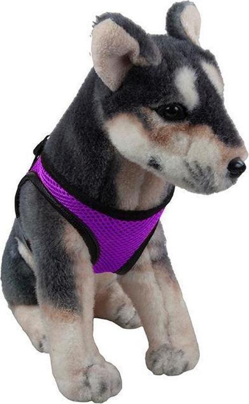 KÜÇÜK KÖPEK Göğüs Tasması S Eflatun GÖVDESİ 29-34cm ARASI OLAN KÖPEKLERE