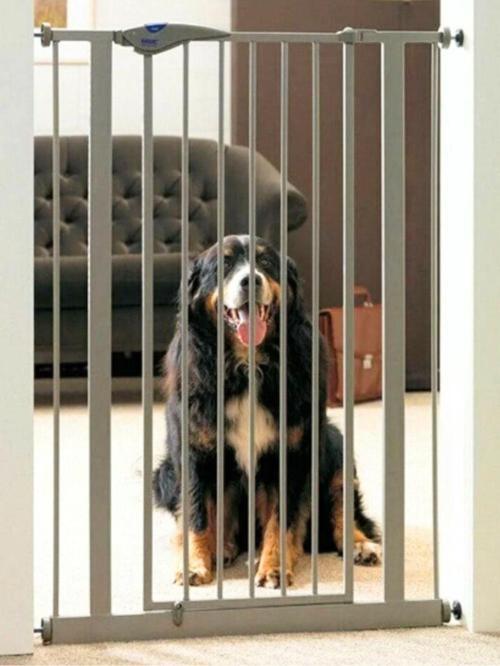 Köpek Bariyeri Güvenlik Kapısı 75-96 Cm Arası Genişlikte Kullanım İmkanı Metal Çit