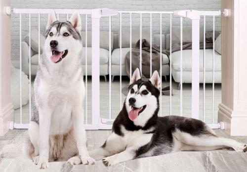 Köpek Güvenlik Kapı Bariyeri