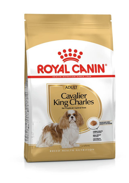 Cavalier King Charles Kuru Köpek Maması 3 kg