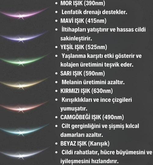 Büro Ev Ofis Kişisel Cilt Bakımı için 7MOD Işıklı Titreşimli Boyun Yüz Ems Aparatı