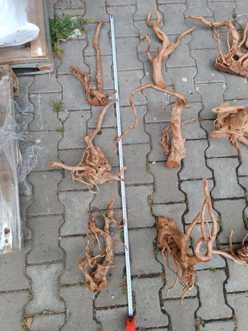 Çöl (Yati) Kütüğü Bağ 35-45 cm
