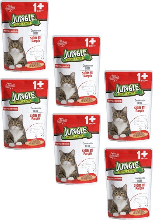 Pouch Dana Etli Kedi Maması 100 gr X 6 Adet