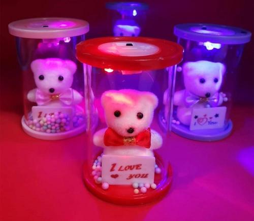 Işıklı Cam Fanus İçinde Ayıcık