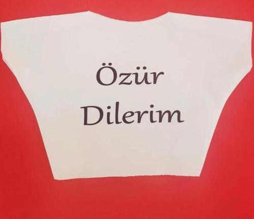 Özür Dilerim Yazılı Peluş Oyuncak Tişörtü