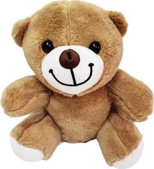 Sevimli Peluş Ayicik