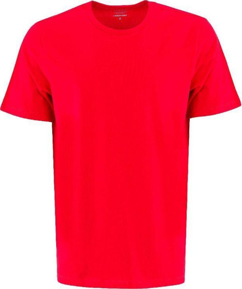 CT102 BASIC C NECK Kırmızı Erkek Kısa Kollu Tişört