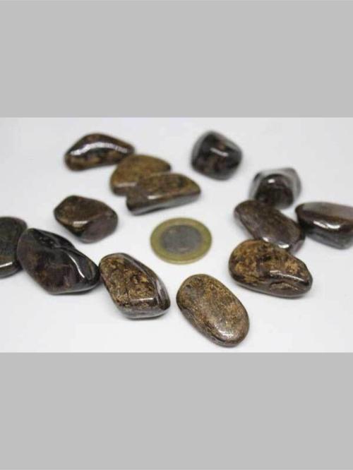 Bronzit Taşı Tamburlanmış Orta Boy 14-20 Gram