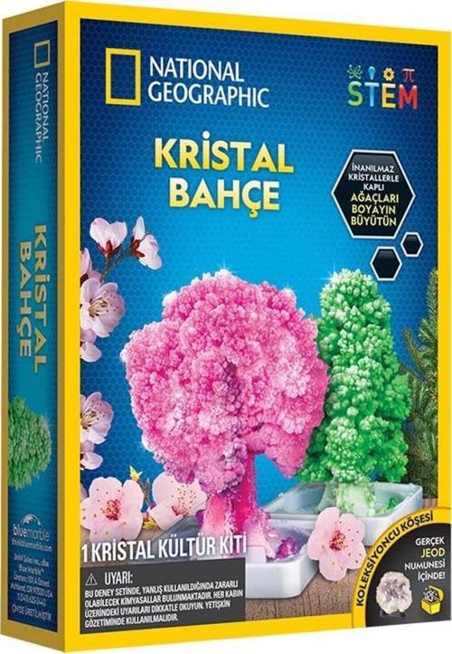 Çocuk Natgeo Kristal Bitki Kiti