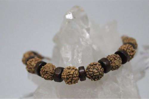Rudraksha Tohum Bileklik 8mm