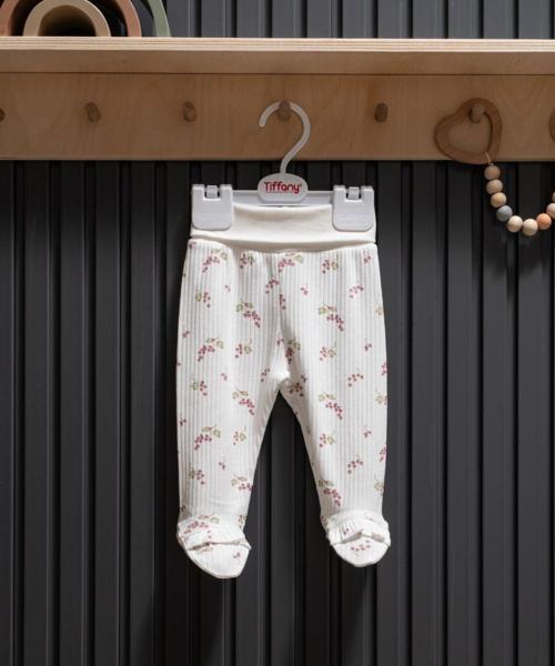 Purple Grape Theme Patikli Alt