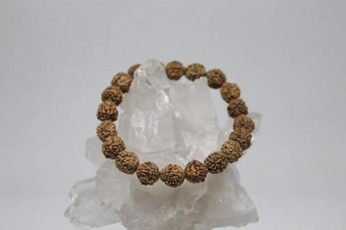 Rudraksha Tohum Bileklik 8mm