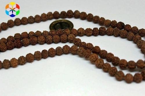 Rudrashka Tohum Dizi 8mm (MALA YAPIMI İÇİN) 108 Lik Rudraksha