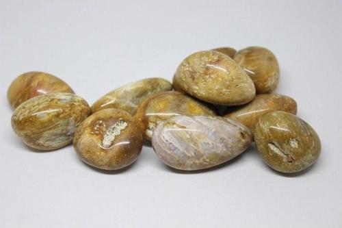 Tibet Akik Taşı ( 10-19 Gram)