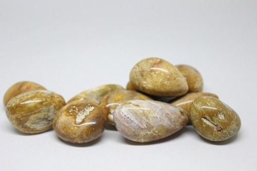 Tibet Akik Taşı ( 20-29 Gram)