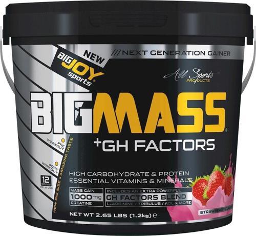 Bigjoy Big Mass Gh Factors 1,2 Kg Çilekli Gainer
