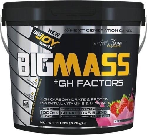 Bigjoy Big Mass Gh Factors 5000 gr Çilek Aromalı