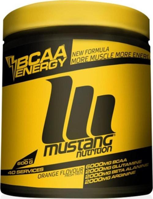 Nutrition Bcaa 600 gr