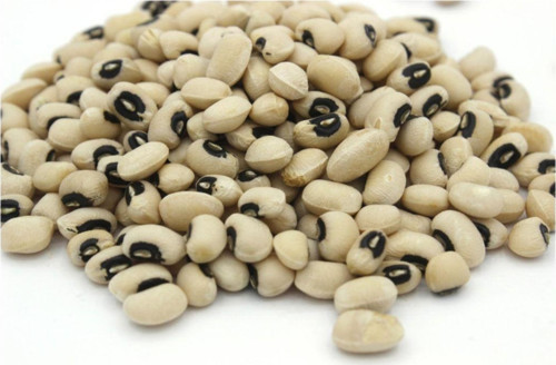 Loğlaz 5 Kg
