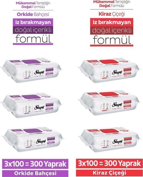 Yüzey Temizlik Havlusu Kiraz Çiçeği, Orkide Bahçesi 6x100 (600 Yaprak)
