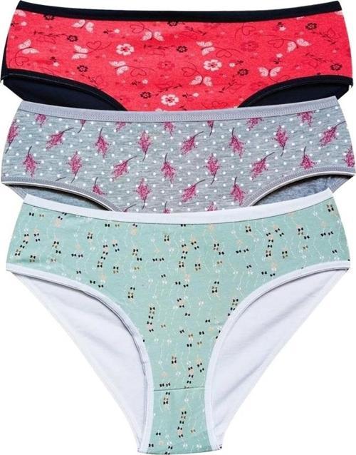 Pamuklu Geniş Kenarlı Likralı Desenli Bato Kadın Külot 3'lü Paket Set1
