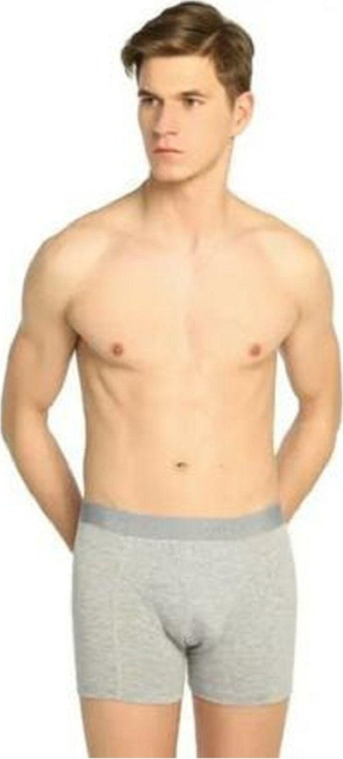 Erkek Gri Likralı Elastan Boxer Renk 4 Lü Paket