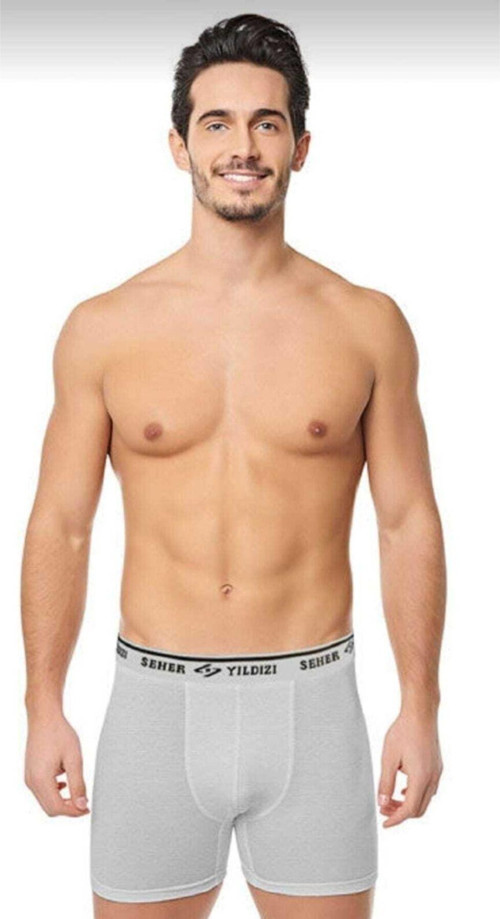 Erkek 6"Lı Gri Likralı Pamuklu Boxer Tekli Ambalaj 0060