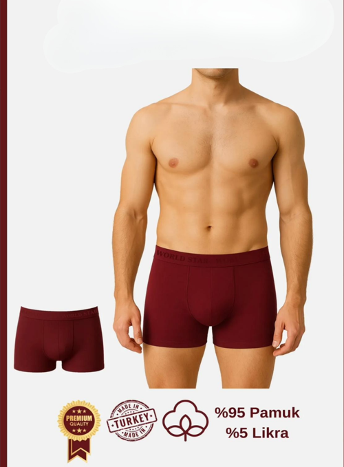 Aria's Closet Pamuklu Düz Bordo Renk Erkek Boxer