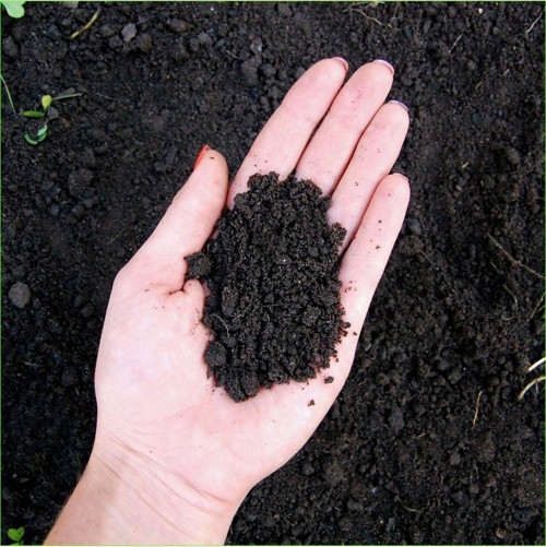 40 Litre Özel Karışımlı Bitki Toprağı - Torf,