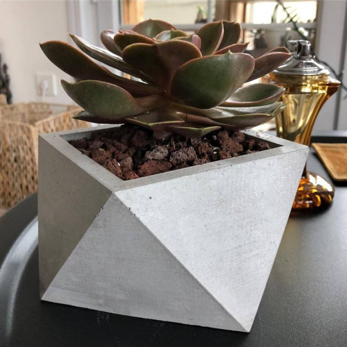 Geometrik Kaktüs Aranjman Ve Çiçek Saksısı