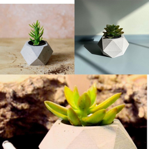 Geometrik Saksılarda 3 Adet Kaktüs