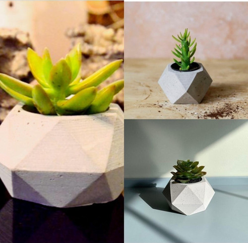 Geometrik Saksılarda 3 Adet Kaktüs