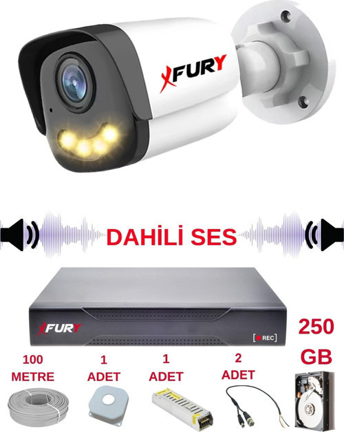1 li Sesli Gece Renkli Görüş Güvenlik Kamerası Su Geçirmez Güvenlik Kamerası Seti 5590s 250GB