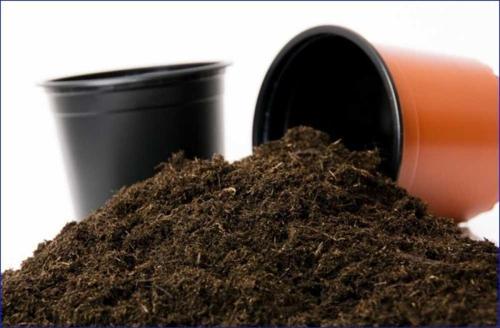 40 Litre Özel Karışımlı Bitki Toprağı - Torf